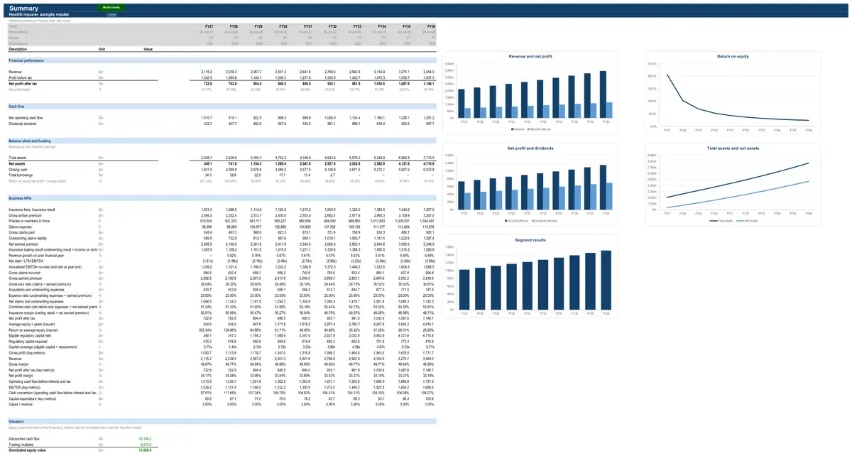 The Summary sheet of the sample health insurer model