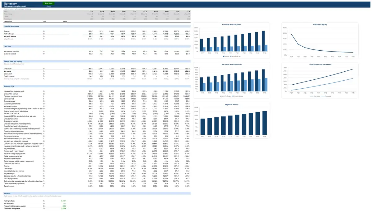 The Summary sheet of the sample reinsurer model
