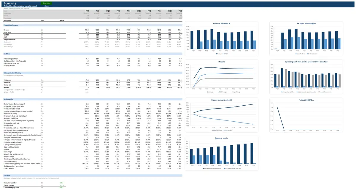 The Summary sheet of the sample animal health company model