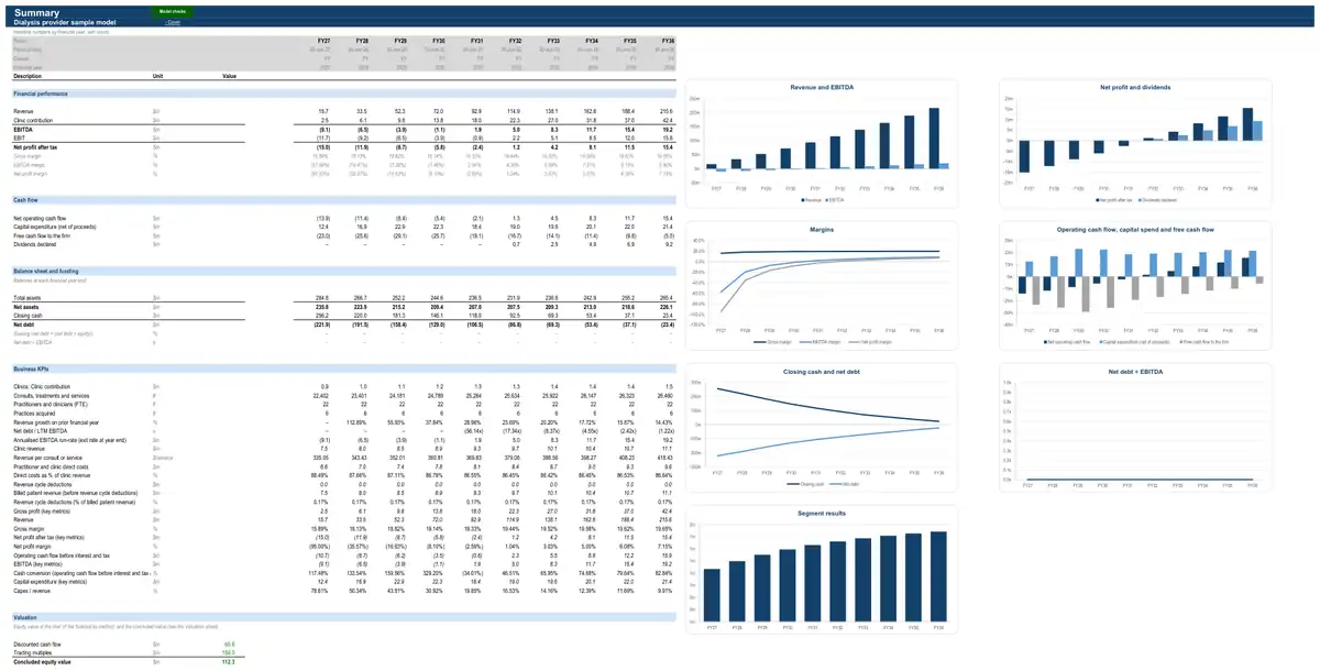 The Summary sheet of the sample dialysis provider model