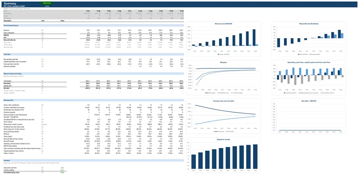 The Summary sheet of the sample IVF clinic model