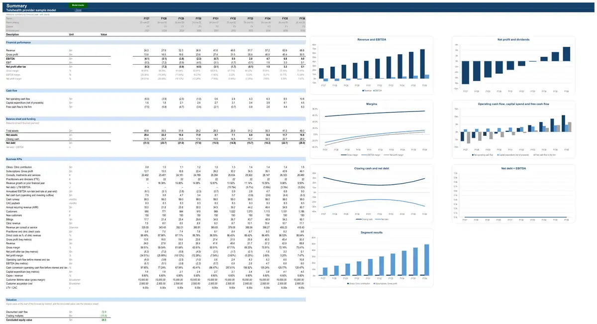 The Summary sheet of the sample telehealth provider model
