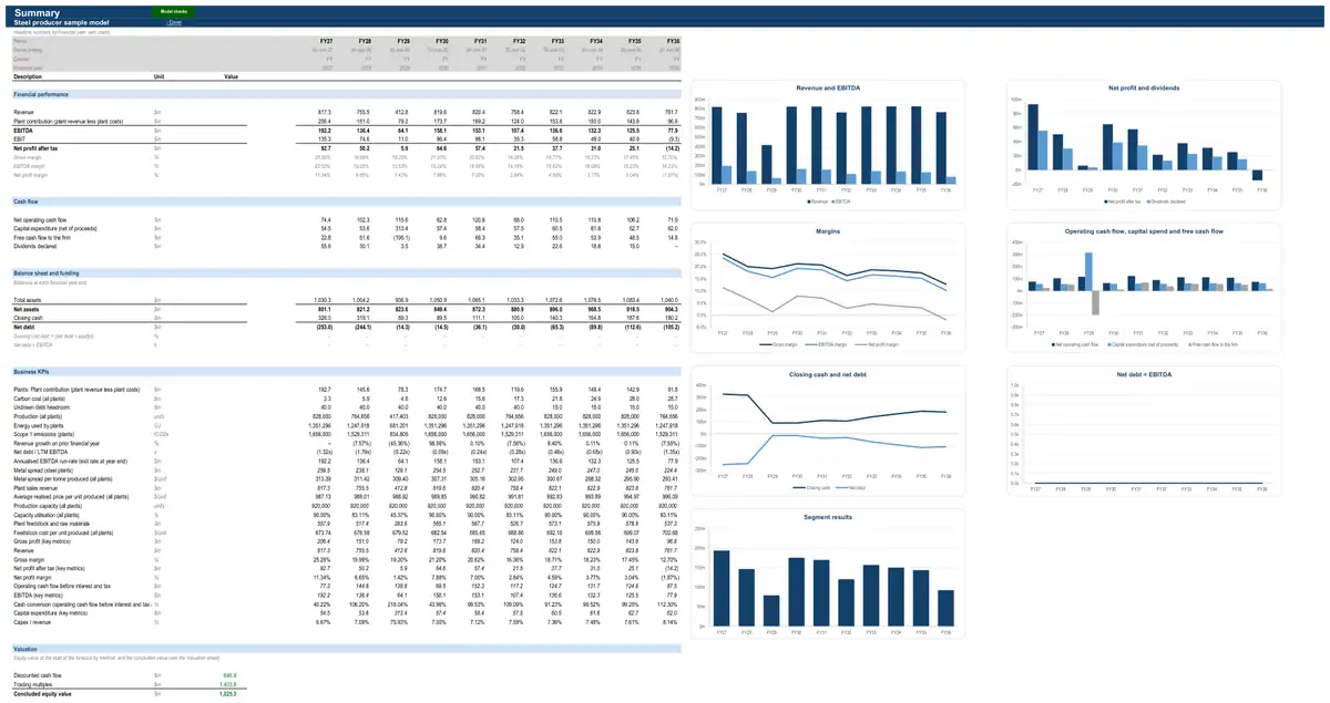 The Summary sheet of the sample steel producer model