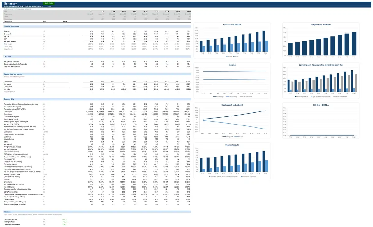 The Summary sheet of the sample banking-as-a-service platform model
