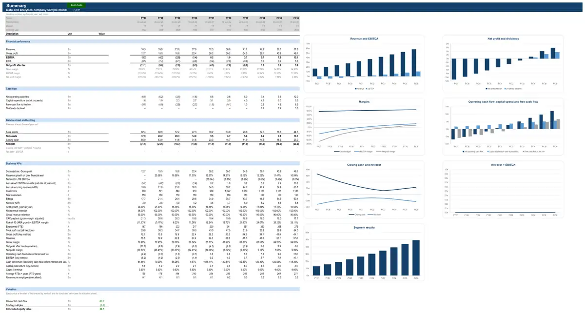 The Summary sheet of the sample data and analytics company model