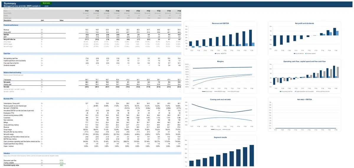 The Summary sheet of the sample managed service provider (MSP) model
