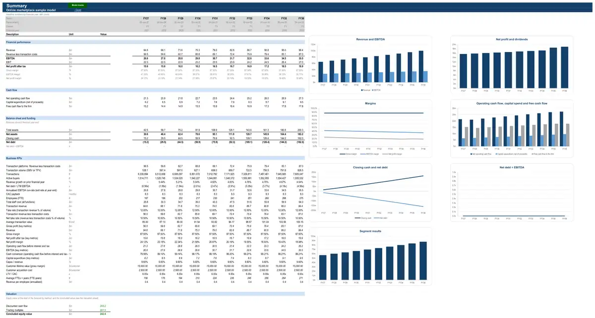 The Summary sheet of the sample online marketplace model